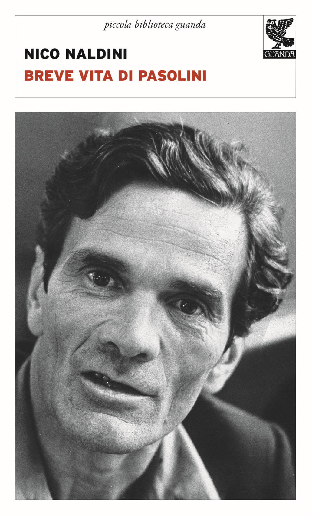 Breve vita di Pasolini