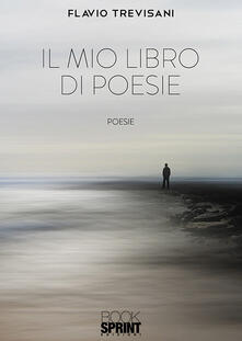 Il mio libro di poesie.pdf