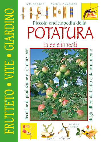 Image of Piccola enciclopedia della potatura, innesti, talee