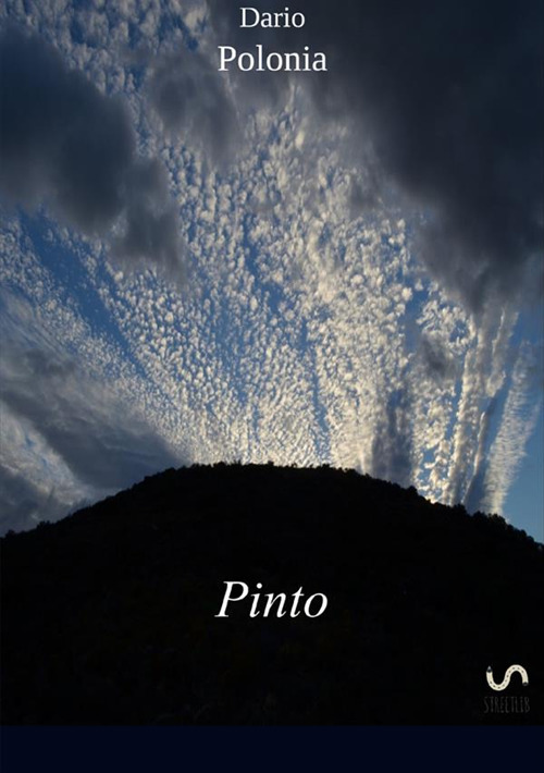 Image of Pinto
