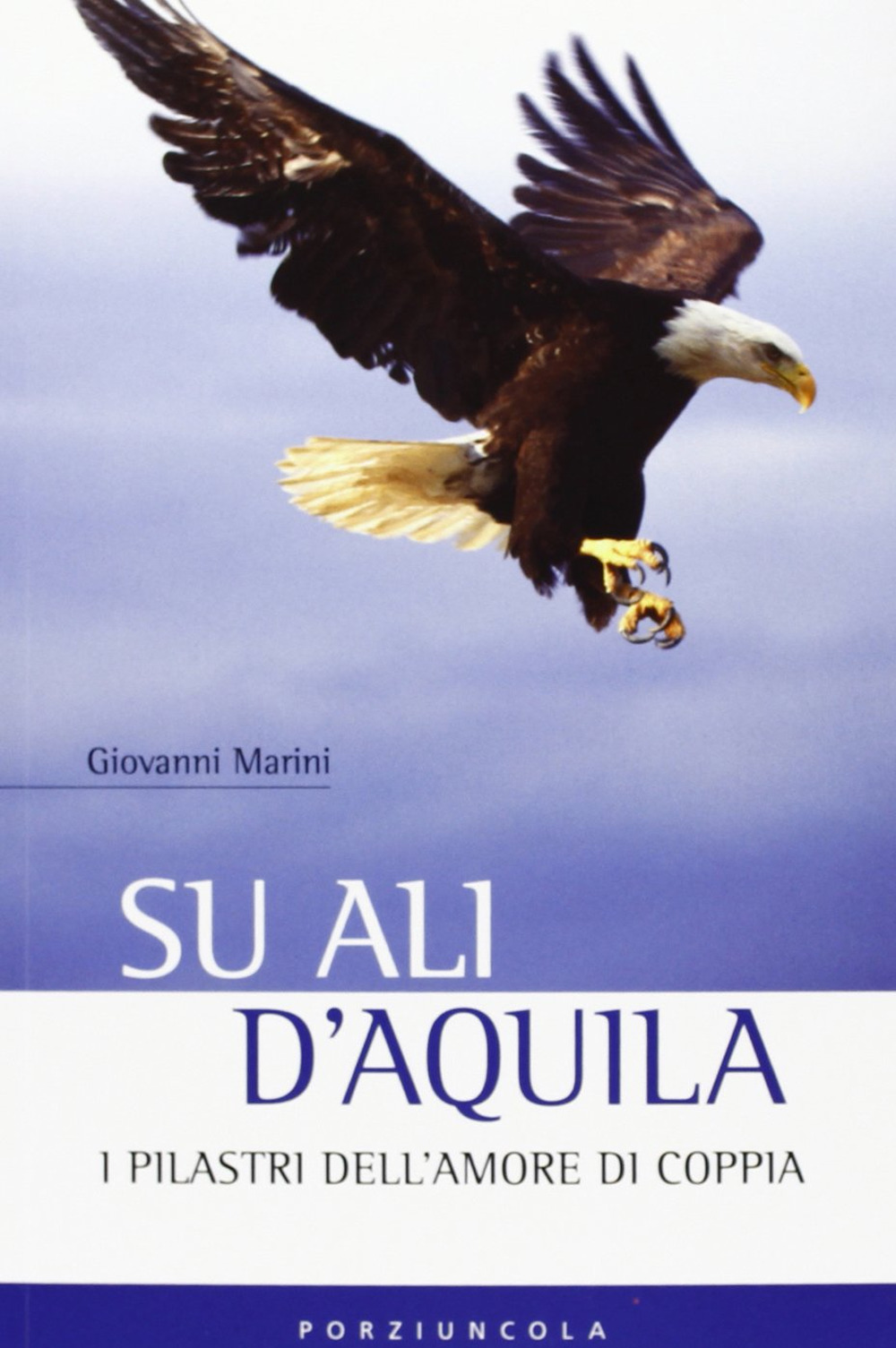 Image of Su ali d'aquila. I 12 pilastri dell'amore