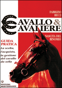 Image of Cavallo e cavaliere