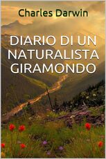 Immagine di ebook/