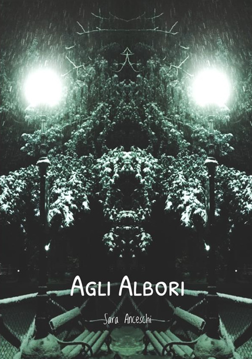 Image of Agli albori