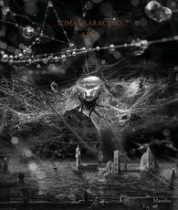Libro Tomás Saraceno. Aria. Catalogo della mostra (Firenze, 22 febbraio-19 luglio 2020). Ediz. a colori