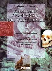 Copertina  Anatomia comparata dei vertebrati <2ª ed.>