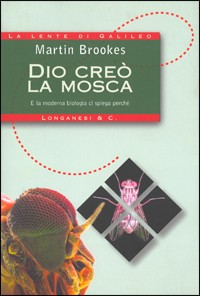 Dio creò la mosca