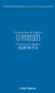 Commento ai vangeli. Sermoni. Vol. 4\1 Scarica PDF EPUB
