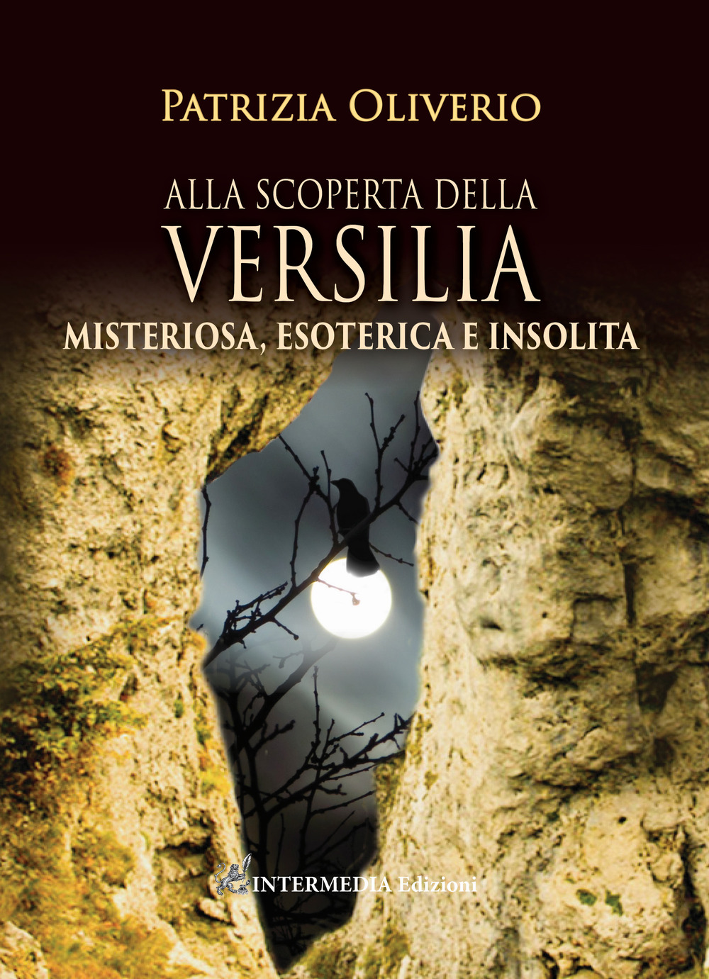 Image of Alla scoperta della Versilia. Misteriosa, esoterica e insolita
