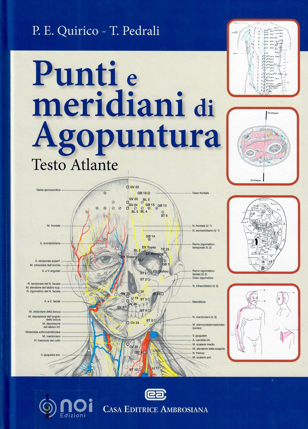 Image of Punti e meridiani di agopuntura