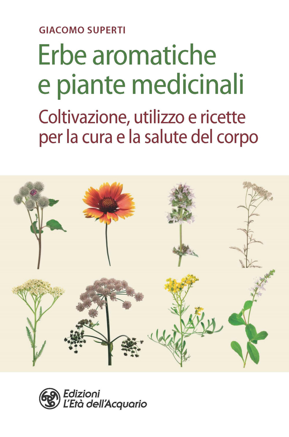 Image of Erbe aromatiche e piante medicinali. Coltivazione, utilizzo e ricette per la cura e la salute del corpo