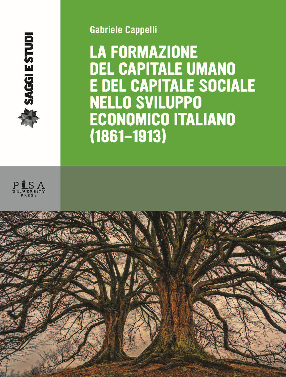 Image of La formazione del capitale umano e del capitale sociale nello sviluppo economico italiano (1861-1913)