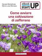 Immagine di ebook/