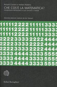 Che cosè la matematica? Introduzione elementare ai suoi concetti e metodi.pdf