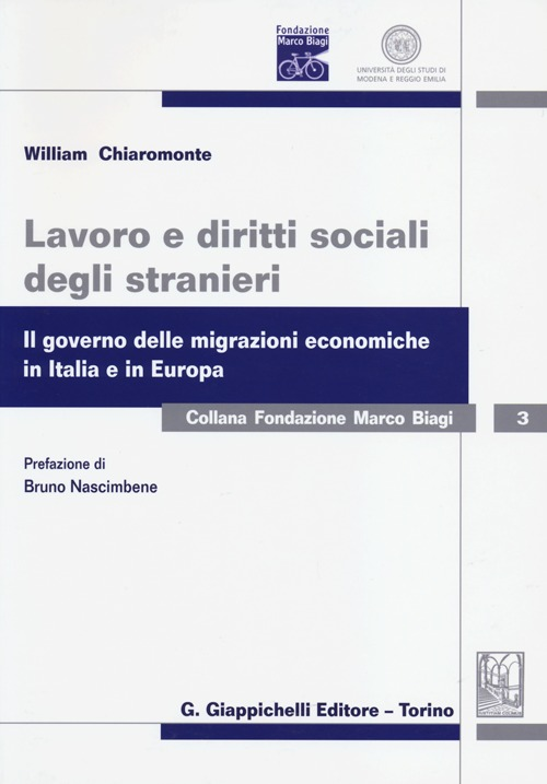 Image of Lavoro e diritti sociali degli stranieri. Il governo delle migrazioni economiche in Italia e in Europa