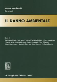 Il danno ambientale.pdf
