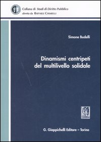 Dinamismi centripeti del multilivello solidale Scarica PDF EPUB
