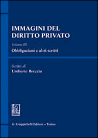 Immagini del diritto privato. Vol. 1: Teoria generale, fonti, diritti.