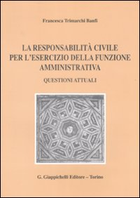 La responsabilità civile per l'esercizio della funzione amministrativa. Questioni attuali Scarica PDF EPUB
