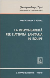 La responsabilità per l'attività sanitaria in equipe Scarica PDF EPUB
