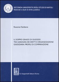 Il doppio grado di giudizio tra garanzia dei diritti e organizzazione giudiziaria. Profili di comparazione