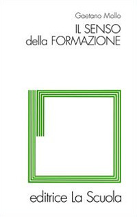 Il senso della formazione Scarica PDF EPUB
