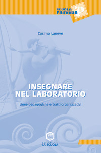 Insegnare nel laboratorio. Linee pedagogiche e tratti organizzativi Scarica PDF EPUB
