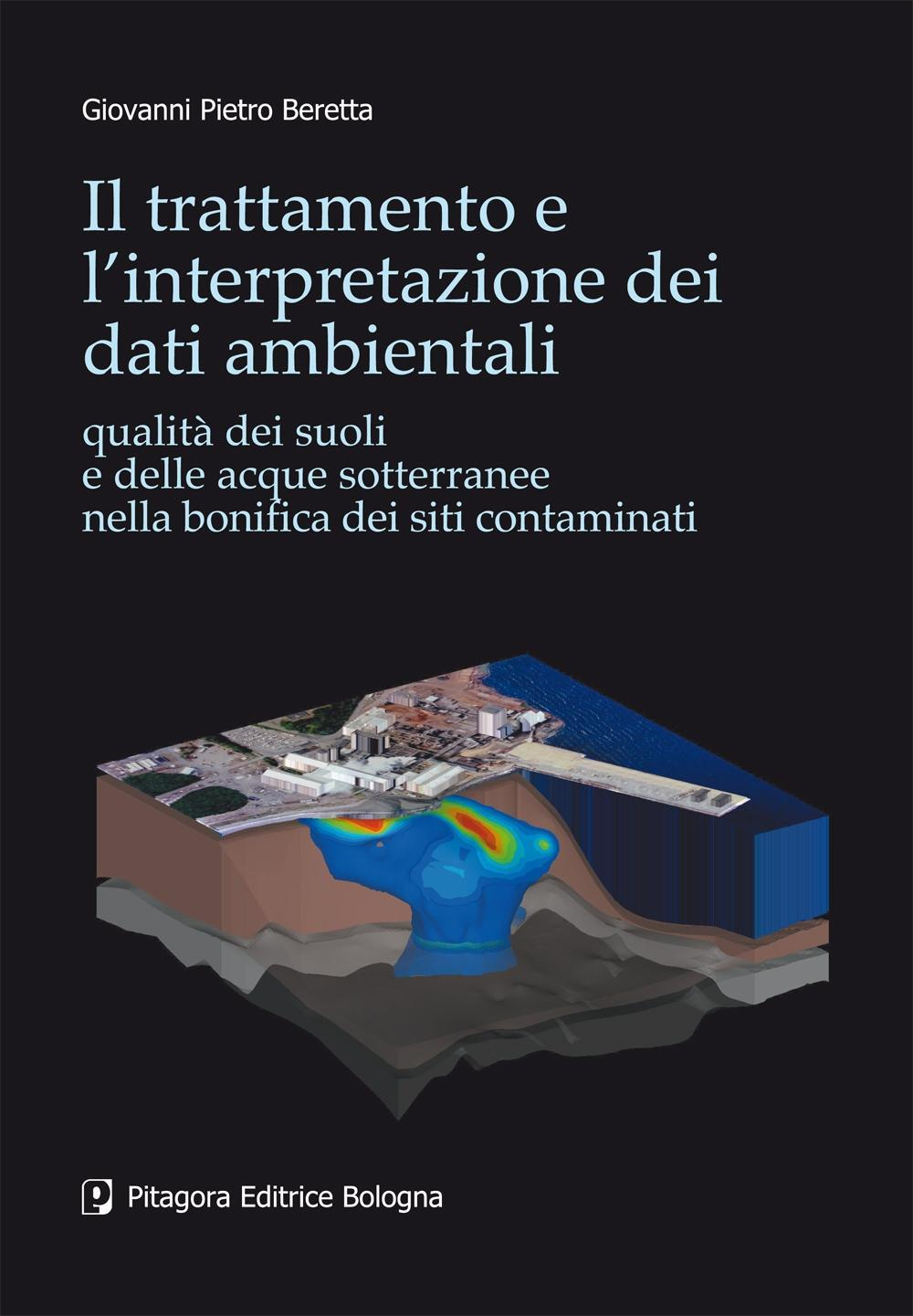 Il trattamento e l'interpretazione dei dati ambientali. Qualità dei suoli e delle acque sotterranee nella bonifica dei siti contaminati Scarica PDF EPUB
