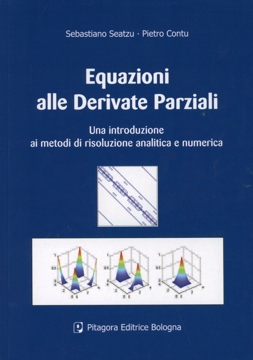 Equazioni alle derivate parziali. Una introduzione ai metodi di risoluzione analitica e numerica