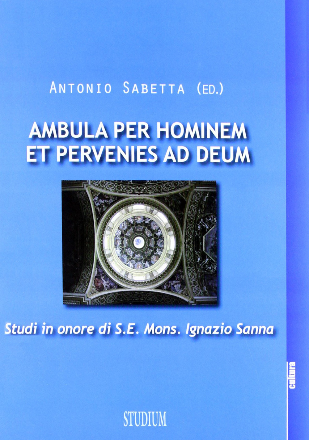 Ambula per hominem et pervenies ad Deum. Studi in onore di S. E. Mons. Ignazio Sanna Scarica PDF EPUB
