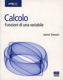 Calcolo. Funzioni di una variabile.pdf