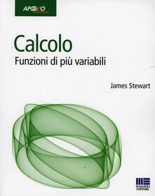 Calcolo. Funzioni di più variabili.pdf