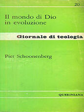 Libro Il mondo di Dio in evoluzione Piet Schoonenberg