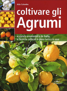 Coltivare gli agrumi. Le varietà ornamentali e da frutto, le tecniche colturali in piena terra e in vaso