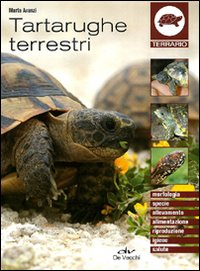 Tartarughe terrestri