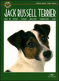 Jack Russel terrier