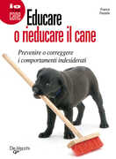 Immagine di ebook/