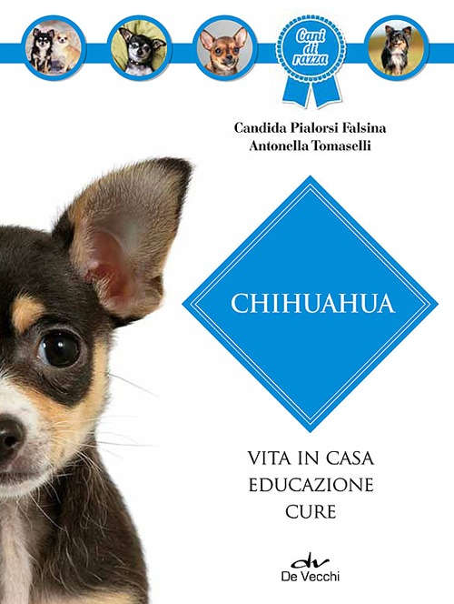 Chihuahua