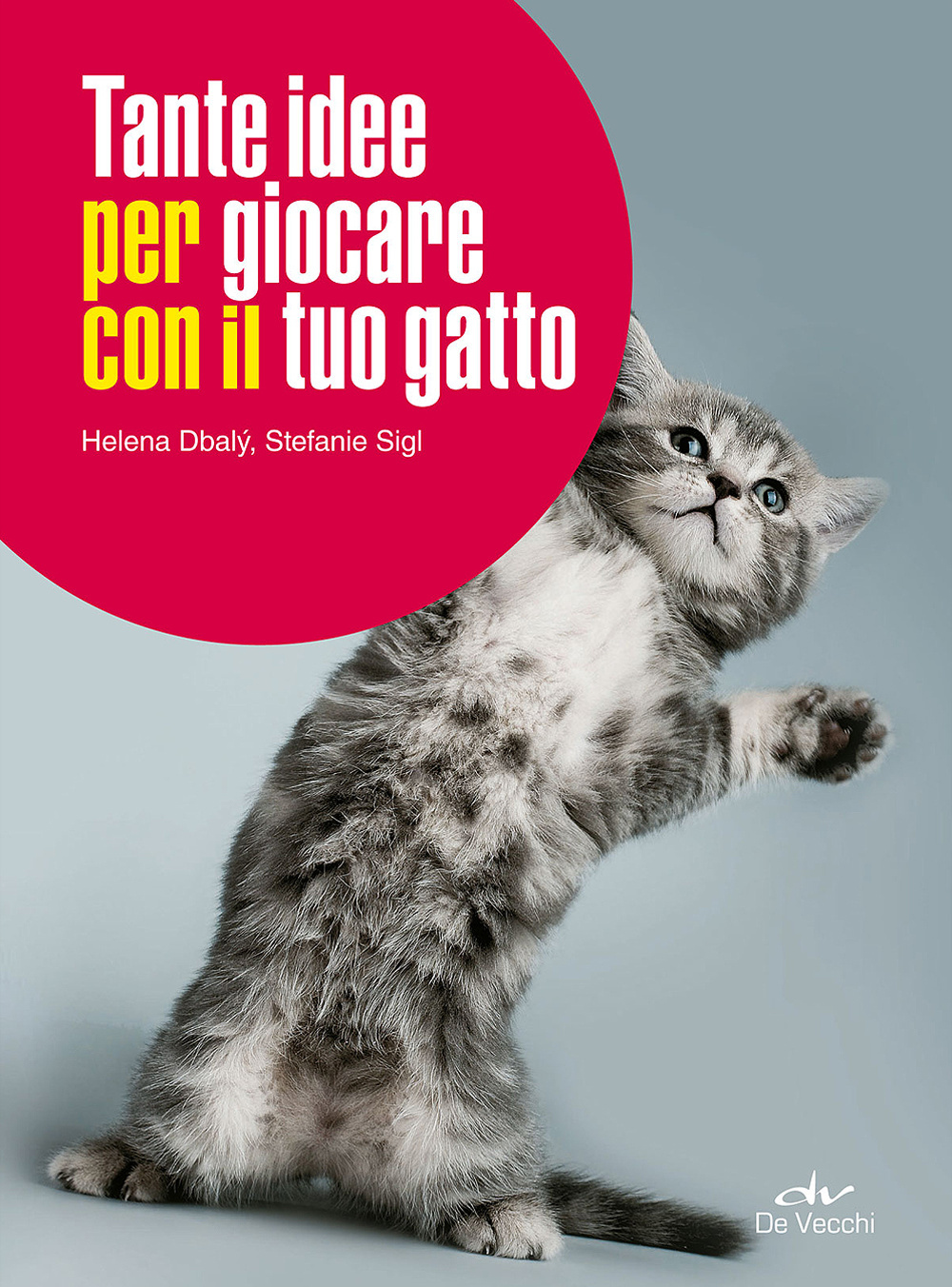 Tante idee per giocare con il tuo gatto