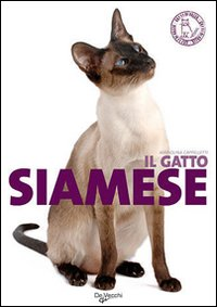 Il gatto siamese