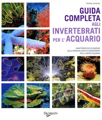 Guida completa agli invertebrati per l'acquario