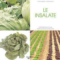 Le insalate. Coltivazione e cure dalla semina al raccolto