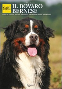 Il bovaro bernese