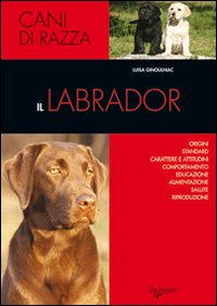 Il labrador