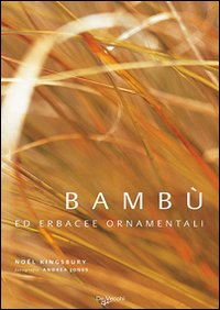 Bambù ed erbacee ornamentali