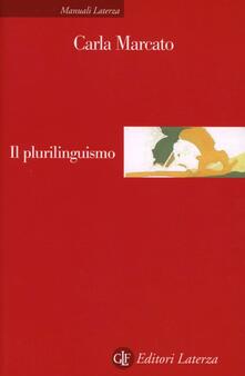 Il plurilinguismo.pdf