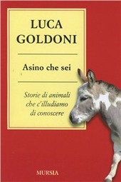 Copertina  Asino che sei