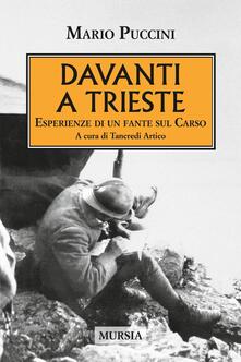 Davanti a Trieste. Esperienze di un fante sul Carso.pdf