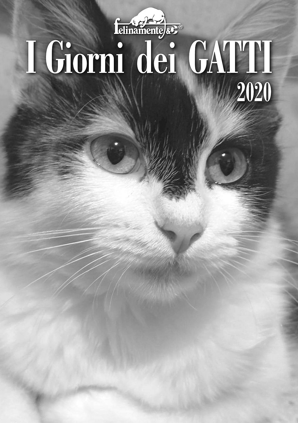 Image of I giorni dei gatti. Agenda 2020