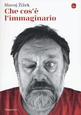 Libro Che cos'è l'immaginario Slavoj Zizek